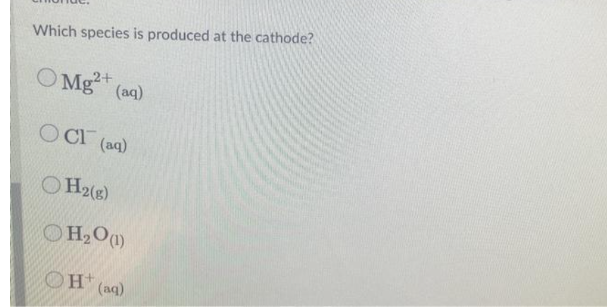 Which species is produced at the cathode?
O Mg (aq)
2+
O CI (aq)
OH2(g)
OH2O)
OH+
(aq)
