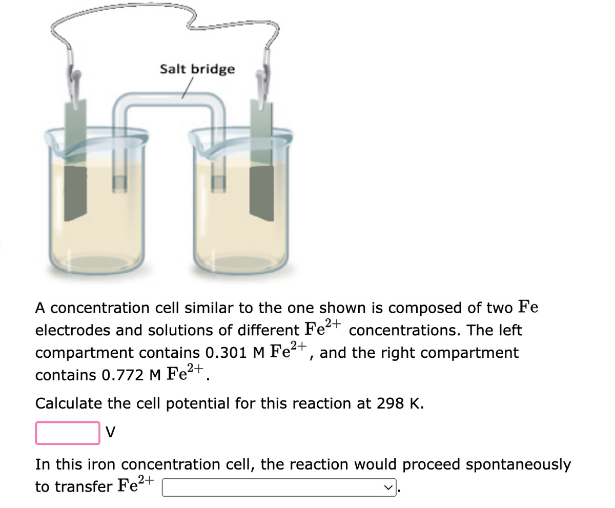 Salt bridge
A concentration cell similar to the one shown is composed of two Fe
electrodes and solutions of different Fe²+ concentrations. The left
compartment contains 0.301 M Fe²+, and the right compartment
contains 0.772 M Fe²+.
Calculate the cell potential for this reaction at 298 K.
V
In this iron concentration cell, the reaction would proceed spontaneously
to transfer Fe²+