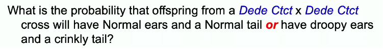What is the probability that offspring from a Dede Ctct x Dede Ctct
cross will have Normal ears and a Normal tail or have droopy ears
and a crinkly tail?
