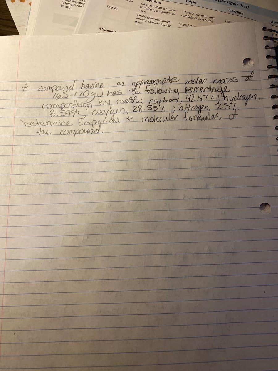 1See Figure 12.4)
Origin
Insertion
"perficial
Large fan-shaped muscle
covering upper portion of
chest
Acti
Clavicle, stermum, and
cartilage of first 6 ribs
Fiber
the obvic
(alternating dart
bands).
Deltoid
Fleshy triangular muscle
forming shoulder muscle
Lateral thi
mass
Abdomin-
of
Determine Enpgidl moleculár formulas dof
the compouid.
composition by mass: carbon, 4287%hydrayen,
8.5991 0xyqunt
an apprednte molar mas.
has th following percentoje
28. 5%, ; nitrogen, 2s
compagel
