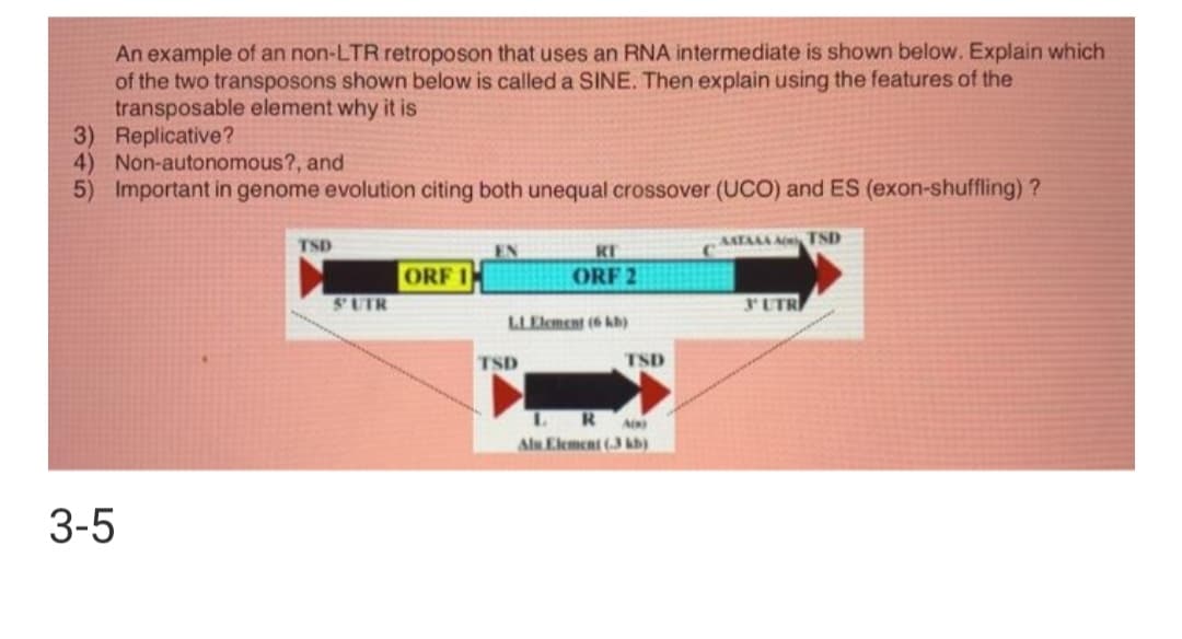 An example of an non-LTR retroposon that uses an RNA intermediate is shown below. Explain which
of the two transposons shown below is called a SINE. Then explain using the features of the
transposable element why it is
3) Replicative?
4) Non-autonomous?, and
5) Important in genome evolution citing both unequal crossover (UCO) and ES (exon-shuffling) ?
TSD
AATAAA TSD
KI
ORF 2
EN
ORF 1
SUTR
FUTR
LLElement (6 kb)
TSD
TSD
RA
Alu Element (3 kb)
3-5
