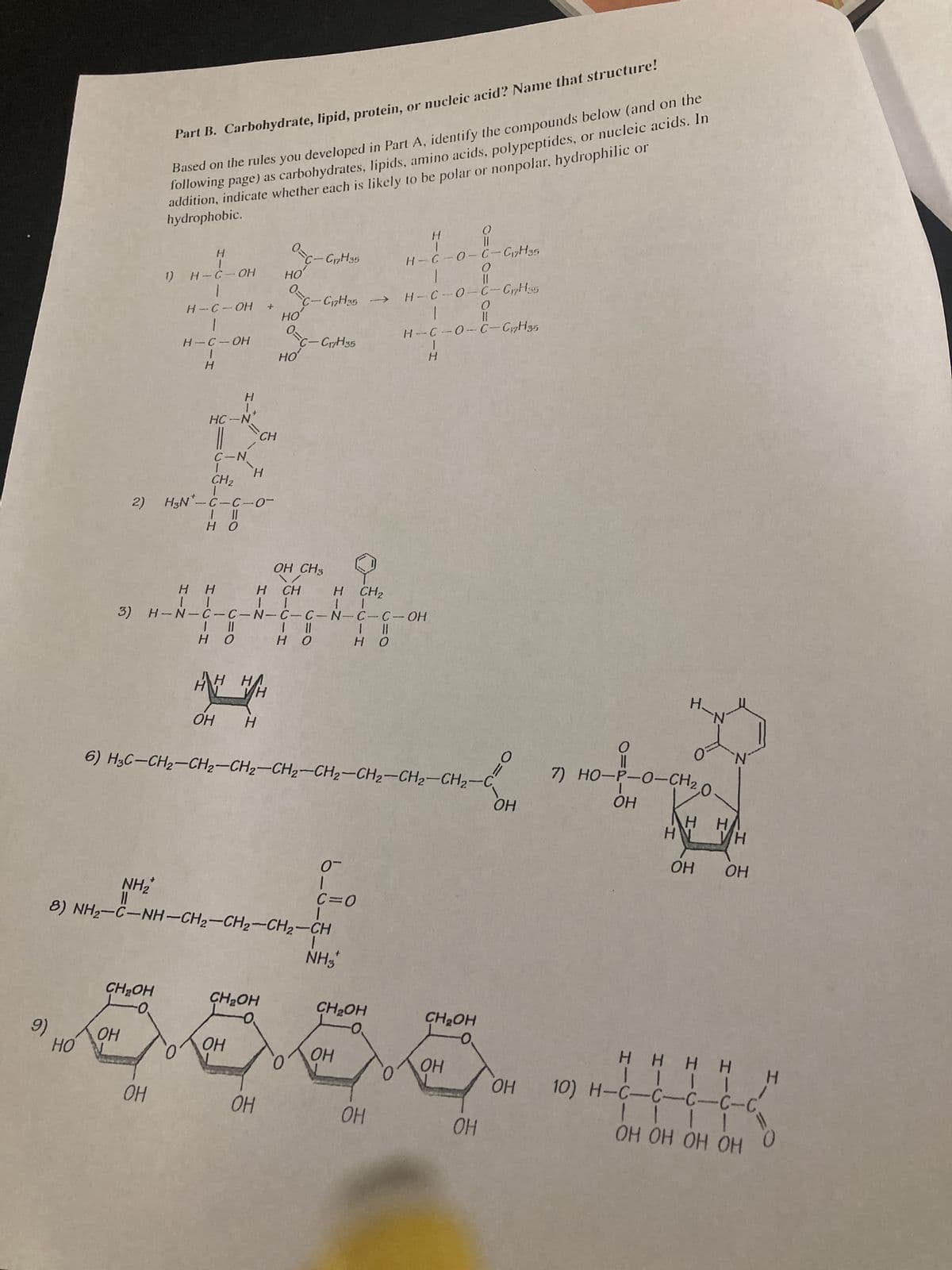 9)
HO
Part B. Carbohydrate, lipid, protein, or nucleic acid? Name that structure!
Based on the rules you developed in Part A, identify the compounds below (and on the
following page) as carbohydrates, lipids, amino acids, polypeptides, or nucleic acids. In
addition, indicate whether each is likely to be polar or nonpolar, hydrophilic or
hydrophobic.
NH₂
ОН
H
1) H-6-OH
I
H - C - OH
I
CH₂OH
H - C - OH
I
Н
CH₂
2) HN-C-C-о-
I II
но
-0.
HC-N
ОН
=
H
C-N
|| CH
H
HH
нн
H
OH H
нн
H CH
H
| |
II
I I
3) H-N-C- C - N- C - C - N— C - C - OH
I II
| II
| ||
но
но
HO
CH₂OH
0=C17H35
ОН
о
0
||
0=C₁7H35 → H-C-0-C-C₁7H35
0
||
H-C-0-C-C17H35
НО
НО
8) NH2-C-NH-CH2-CH2-CH2-CH
ОН
0
НО
6) HgC-CH2-CH2—СН2—СН2-СН2-СН2-СН2-CH2-C
C-C17H35
OH CH3
0-
C=0
I
H
||
H - C - O - C-CH35
I
CH₂
I
NH3
I
Н
//
0
OH
0
I
7) HO-P-0-СН2,0-
ОН
Н
Н.
H-N
0
Н
CH₂OH
CH₂OH
-0.
ОН
OH
ОН
5.338-K
ОН
ОН
Н
N
Н
ОН ОН
нянн
H
| | | |
10) H-C-C-с-с-с
| | | | \!
он он он он