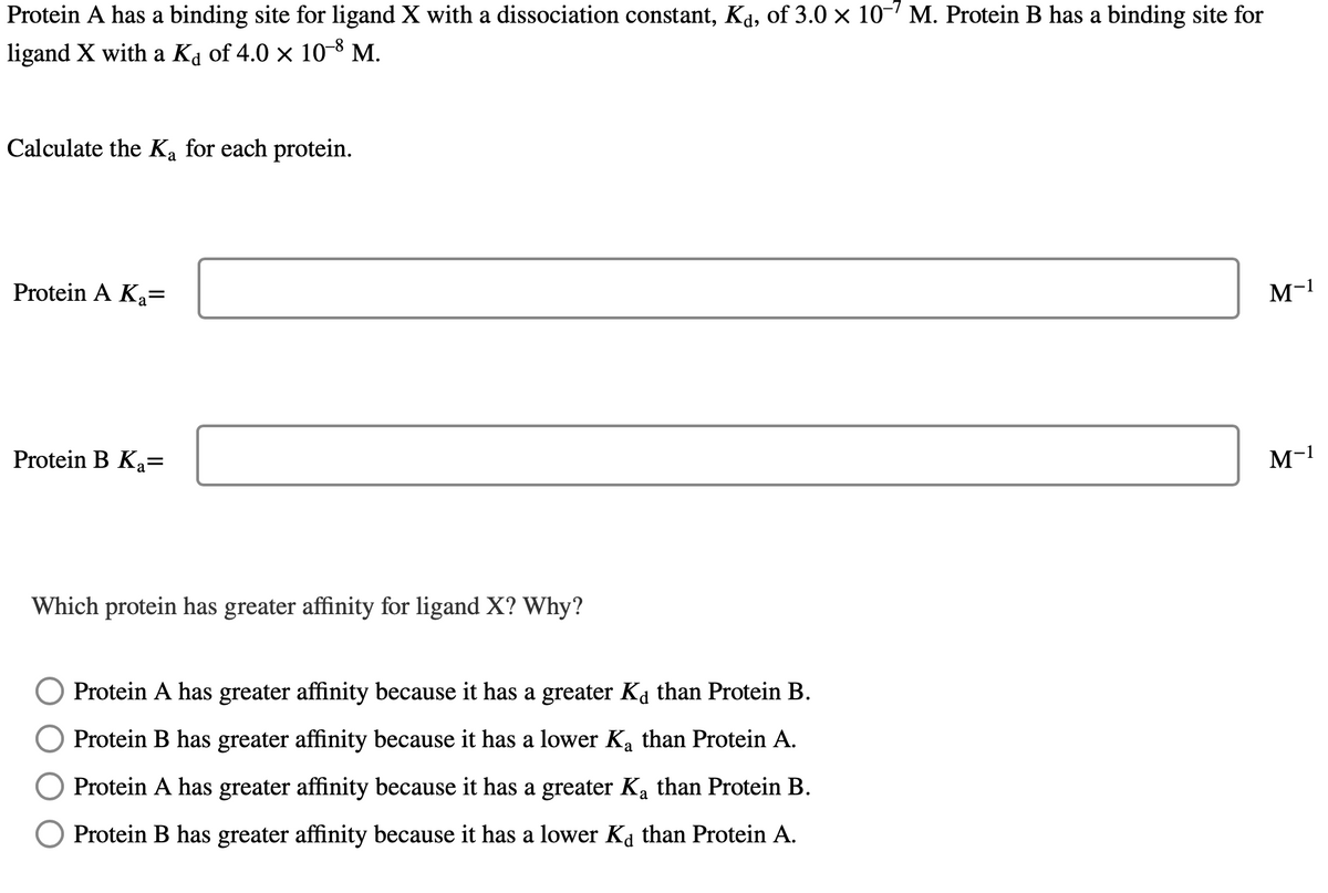 Protein A has a binding site for ligand X with a dissociation constant, Kå, of 3.0 × 10-7 M. Protein B has a binding site for
ligand X with a K₁ of 4.0 × 10-8 M.
Calculate the Ka for each protein.
Protein A K₂=
Protein B K₂=
Which protein has greater affinity for ligand X? Why?
Protein A has greater affinity because it has a greater Kå than Protein B.
Protein B has greater affinity because it has a lower K₂ than Protein A.
Protein A has greater affinity because it has a greater Kå than Protein B.
O Protein B has greater affinity because it has a lower Kỵ than Protein A.
M-1
M-1