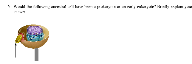 6. Would the following ancestral cell have been a prokaryote or an early eukaryote? Briefly explain your
answer.
|
