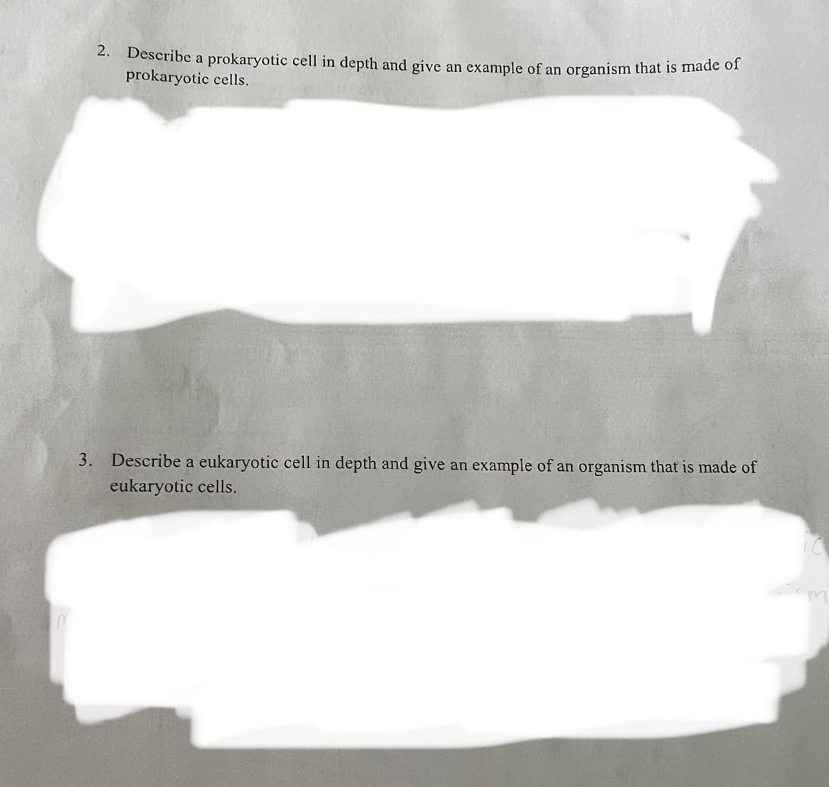 2. Describe a prokaryotic cell in depth and give an example of an organism that is made of
prokaryotic cells.
3. Describe a eukaryotic cell in depth and give an example of an organism that is made of
eukaryotic cells.