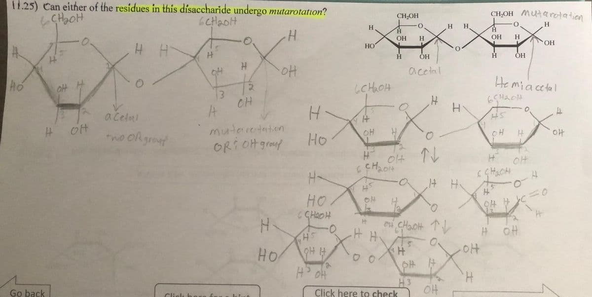 11.25) Can either of the residues in this disaccharide undergo mutarotation?
CH₂OH
6CH₂OH
H
A
Ho
#
Go back
OH
OH
H H-
a Celal
two or group
Click he
13
4
H
2
CH
OH
mutaratation
ORTOH group
H-
Ho
H
Ho
H-
HO
(CH₂OH
1445
OH H
H³ OH
C
H
HO
се наон
F
- +
OH
OH
t
H
CH₂olt
H H.
CH₂OH
OH
H
T
X
of ↑↓
N
O
H
O
OH
acetal
Click here to check
H
OH
H3
H
OH CH₂OH TV
H
14 H
OH
H
H
OH
H
CH₂OH Mutarotation
H
Н
OH
H
+
CCH₂OH
+
O
65H₂CH
45
OH
OH
H
Hemiacetal
OH
H
OH
4
>C=0
#
OH
OH