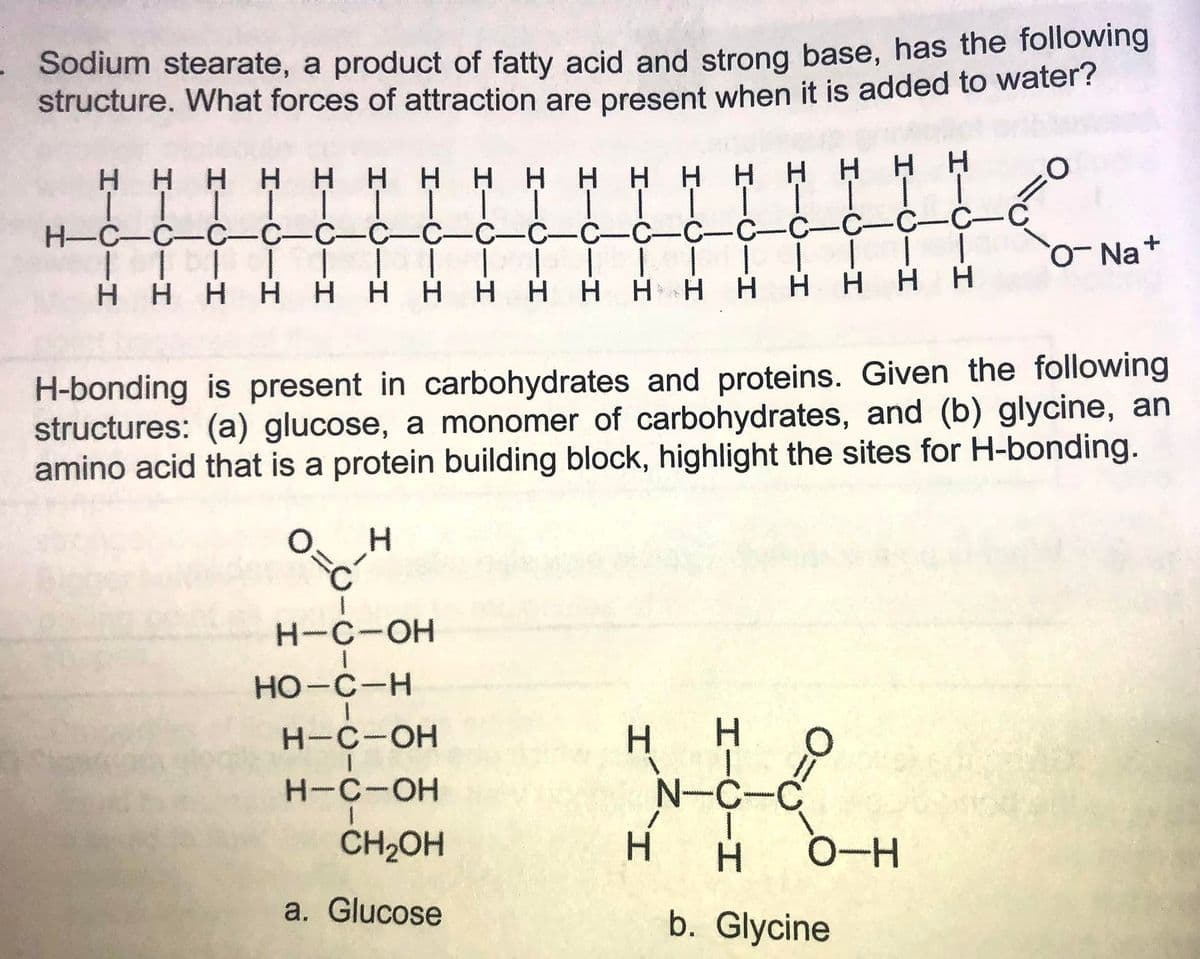 Sodium stearate, a product of fatty acid and strong base, has the following
structure. What forces of attraction are present when it is added to water?
HHH HH H H H H
H H H
HHH H H
H-C-C-C-C-C-C- C-C-C-ċ-Ċ-Ċ-C-C-C-C-CIS
O- Na+
H HHHH HH H H H H H H H H HH
H-bonding is present in carbohydrates and proteins. Given the following
structures: (a) glucose, a monomer of carbohydrates, and (b) glycine, an
amino acid that is a protein building block, highlight the sites for H-bonding.
H-C-OH
HO-C-H
H H
N-C-C
H-C-OH
H-C-OH
CH2OH
H.
0-H
a. Glucose
b. Glycine
H.
