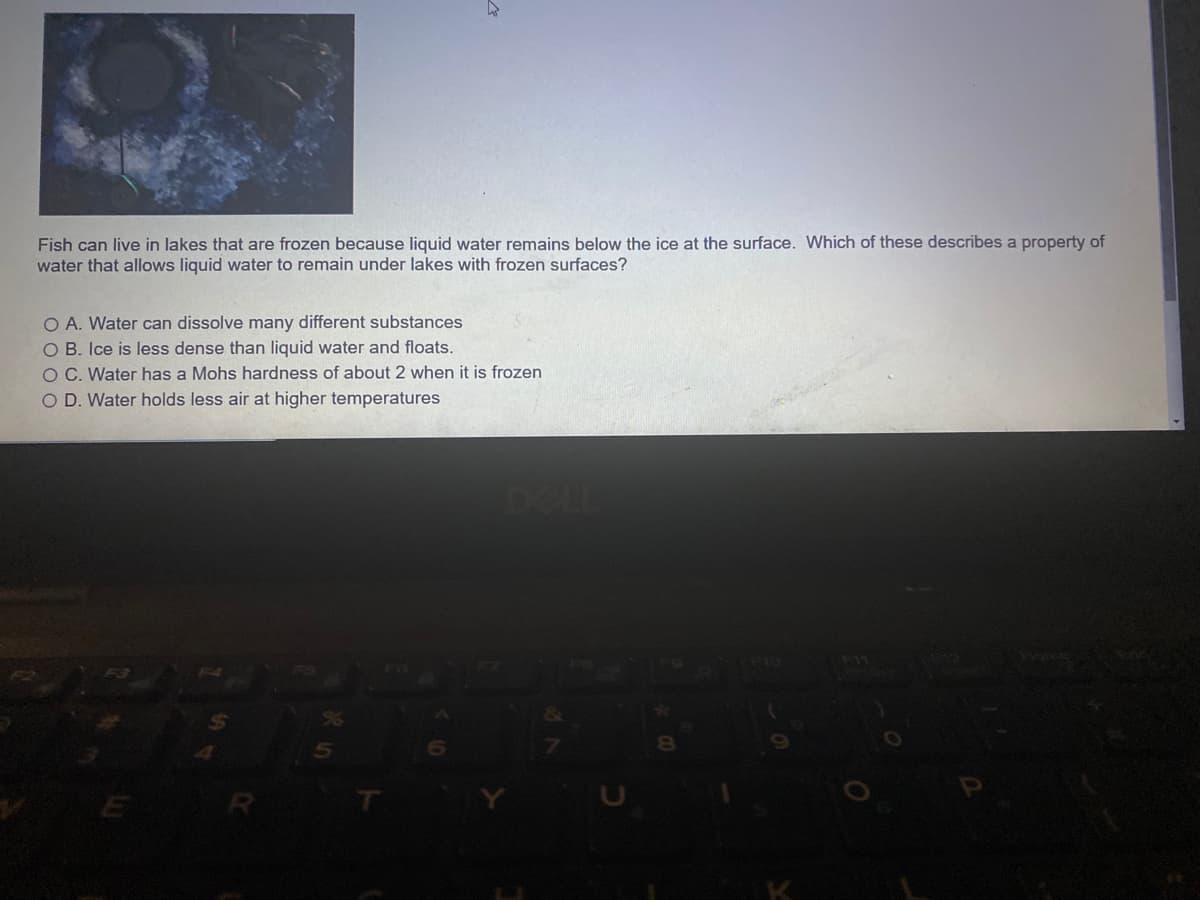 Fish can live in lakes that are frozen because liquid water remains below the ice at the surface. Which of these describes a property of
water that allows liquid water to remain under lakes with frozen surfaces?
O A. Water can dissolve many different substances
O B. Ice is less dense than liquid water and floats.
O C. Water has a Mohs hardness of about 2 when it is frozen
O D. Water holds less air at higher temperatures
F11
