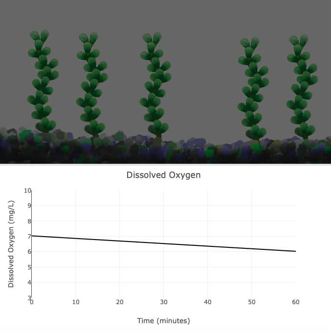 Dissolved Oxygen
10
20
30
40
50
60
Time (minutes)
Dissolved Oxygen (mg/L)
