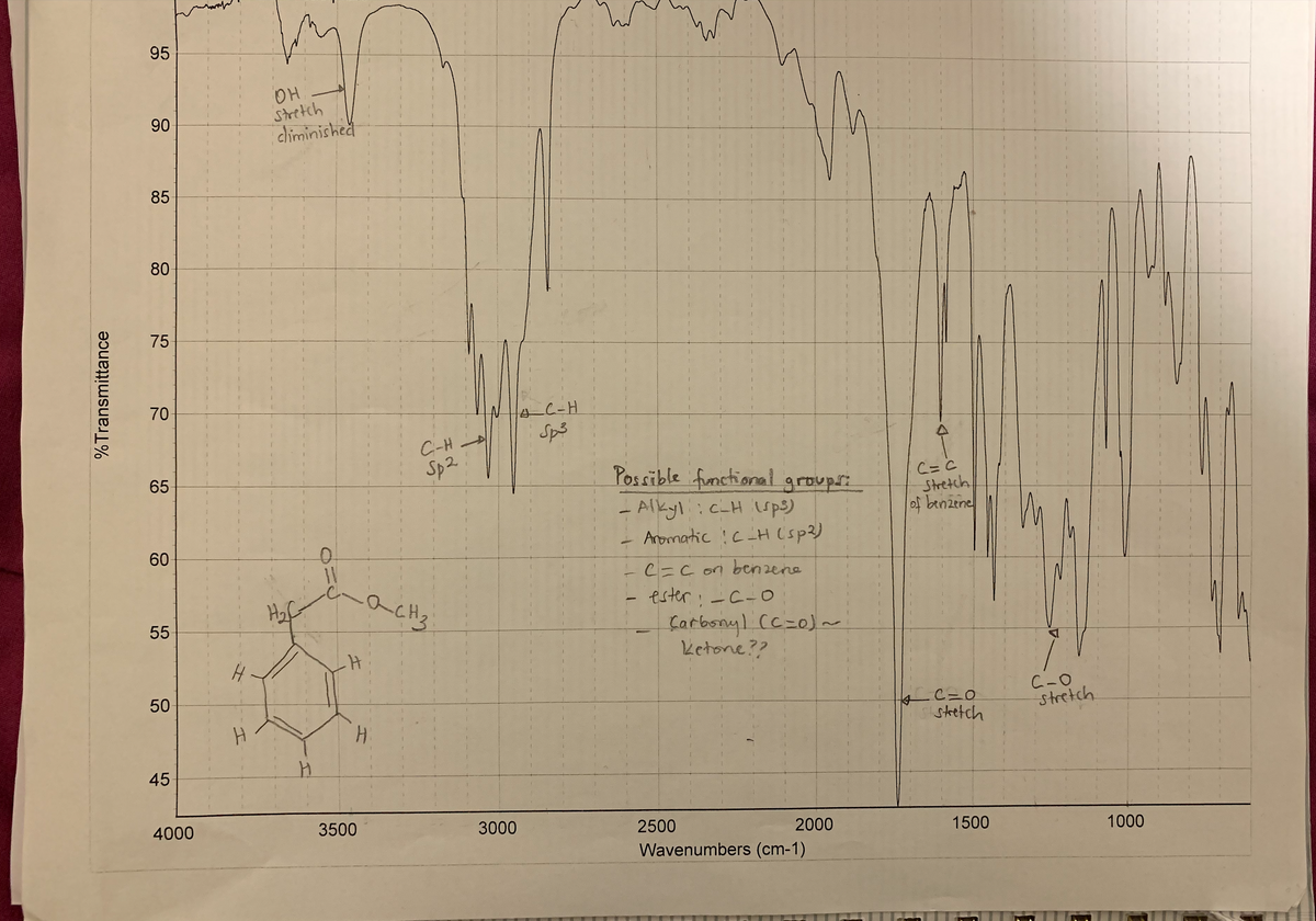 95
OH
90
climinished
85
80
75
70
Sp3
C-H
Sp2
Possible ifonctional
65
groupr.
-Alkyl:c_H sps)
Aromatic !c_H (sp3)
C= C
Stretch
of benzenel
60
C=C on benzene
ester:-C-0
Carbonyl (C-0)~
ketone??
55
C-0
Stretch
steetch
45
4000
3500
3000
2500
2000
Wavenumbers (cm-1)
1500
1000
it
50
%Transmittance
