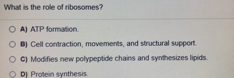 What is the role of ribosomes?
O A) ATP formation.
O B) Cell contraction, movements, and structural support.
C) Modifies new polypeptide chains and synthesizes lipids.
O D) Protein synthesis.
