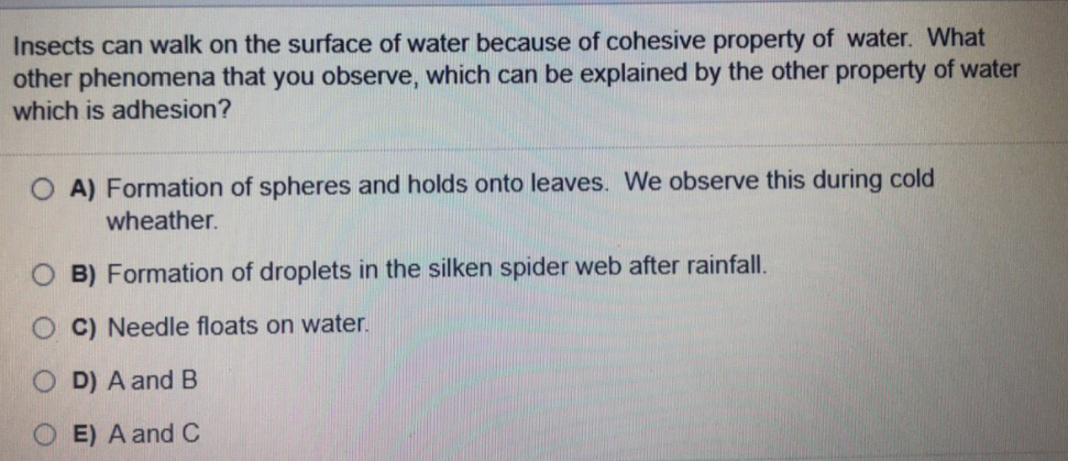 Insects can walk on the surface of water because of cohesive property of water. What
other phenomena that you observe, which can be explained by the other property of water
which is adhesion?
O A) Formation of spheres and holds onto leaves. We observe this during cold
wheather.
O B) Formation of droplets in the silken spider web after rainfall.
O C) Needle floats on water.
O D) A and B
OE)A and C
