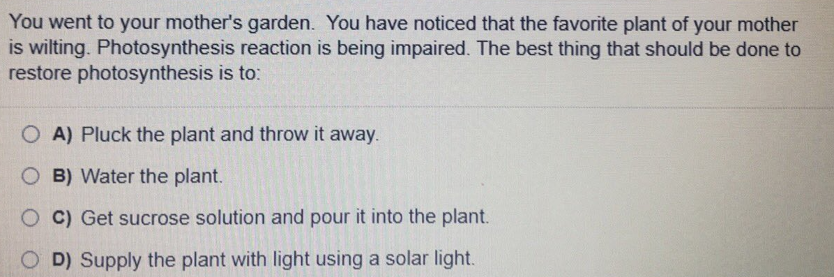 You went to your mother's garden. You have noticed that the favorite plant of your mother
is wilting. Photosynthesis reaction is being impaired. The best thing that should be done to
restore photosynthesis is to:
O A) Pluck the plant and throw it away.
O B) Water the plant.
O C) Get sucrose solution and pour it into the plant.
O D) Supply the plant with light using a solar light.
