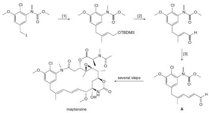 (21
LOTBDMS
[3]
several ships
maytansine
