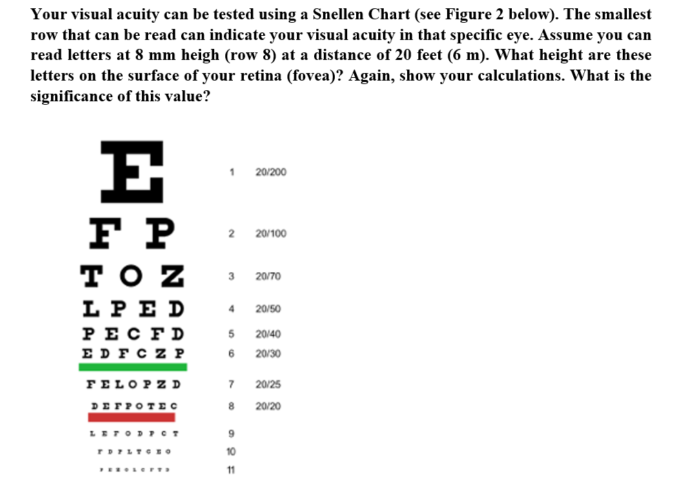 Your visual acuity can be tested using a Snellen Chart (see Figure 2 below). The smallest
row that can be read can indicate your visual acuity in that specific eye. Assume you can
read letters at 8 mm heigh (row 8) at a distance of 20 feet (6 m). What height are these
letters on the surface of your retina (fovea)? Again, show your calculations. What is the
significance of this value?
E
F P
20/200
2
20/100
тOZ
3
20/70
L PE D
20/50
PECFD
5
20/40
EDFCZ P
6
20/30
FELOPZ D
7
20/25
DEFPOTEC
8
20/20
LETOD ?CT
9
FDFLT CEO
10
11
