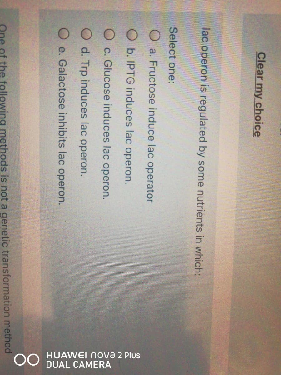 OO HUAWEI nova 2 Plus
DUAL CAMERA
Clear my choice
lac operon is regulated by some nutrients in which:
Select one:
O a. Fructose induce lac operator
O b. IPTG induces lac operon.
O c. Glucose induces lac operon.
O d. Trp induces lac operon.
O e. Galactose inhibits lac operon.
One of the following methods is not a genetic transformation method
