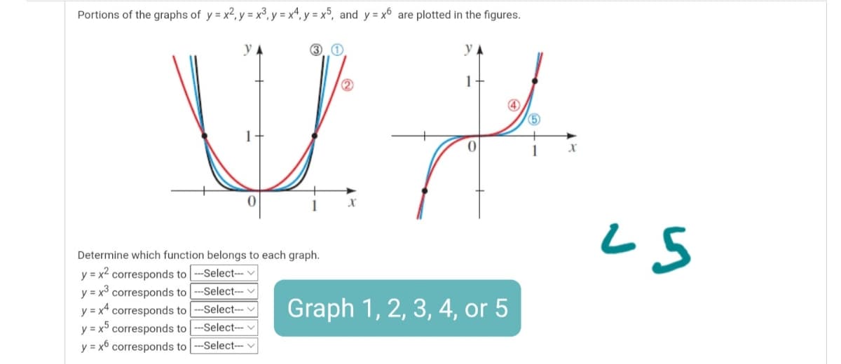 Portions of the graphs of y = x2, y = x³, y = x*, y = x°, and y = x6 are plotted in the figures.
y
y.
2
1+
5
1
Determine which function belongs to each graph.
y = x² corresponds to -Select-- v
y = x³ corresponds to
y = x* corresponds to --Select- v
y = x5 corresponds to
--Select-- v
Graph 1, 2, 3, 4, or 5
--Select-v
y = x6 corresponds to -Select--- v
