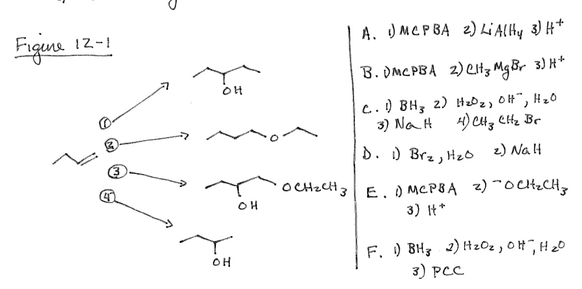 A. JMCP BA 2) Li Alty 3) H*
Figune 12-1
B. dmc PBA 2) et3 Mg Br 3) H*
C.. ) BH3 2) HzOz, OH", Hz0
3) Na H 4) CHtz Cltz Br
D. ) Brz,
2) Na lt
(3
4
O CHzCH3 E. d MCP8A 2) ~O CHeCHg
OH
3) It*
F. ) BH3 2) Hz0z , OH,HzO
3) PCC
OH
