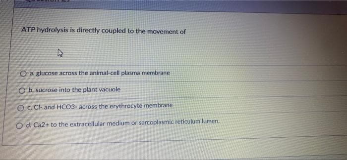 ATP hydrolysis is directly coupled to the movement of
O a. glucose across the animal-cell plasma membrane
O b. sucrose into the plant vacuole
O c. Cl- and HCO3- across the erythrocyte membrane
O d. Ca2+ to the extracellular medium or sarcoplasmic reticulum lumen.
