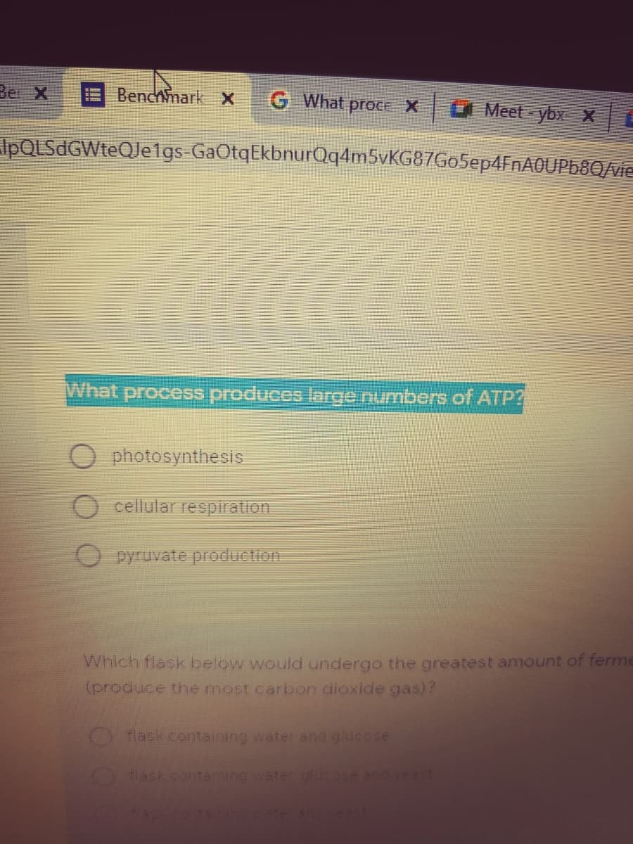 Ber X
Benchmark X
G What proCE X
Meet - ybx X
IpQLSdGWteQJe1gs-GaOtqEkbnurQq4m5vKG87Go5ep4FnA0UPb8Q/vie
What process produces large numbers of ATP?
O photosynthesis
O cellular respiration.
O pyruvate production
Which flask below would undergo the greatest amount of ferme
(produce the most carbon dioxide gas)?
flask containing water and giucose
lask contarning water glucoe and veast
