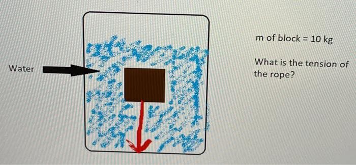 Water
m of block = 10 kg
What is the tension of
the rope?