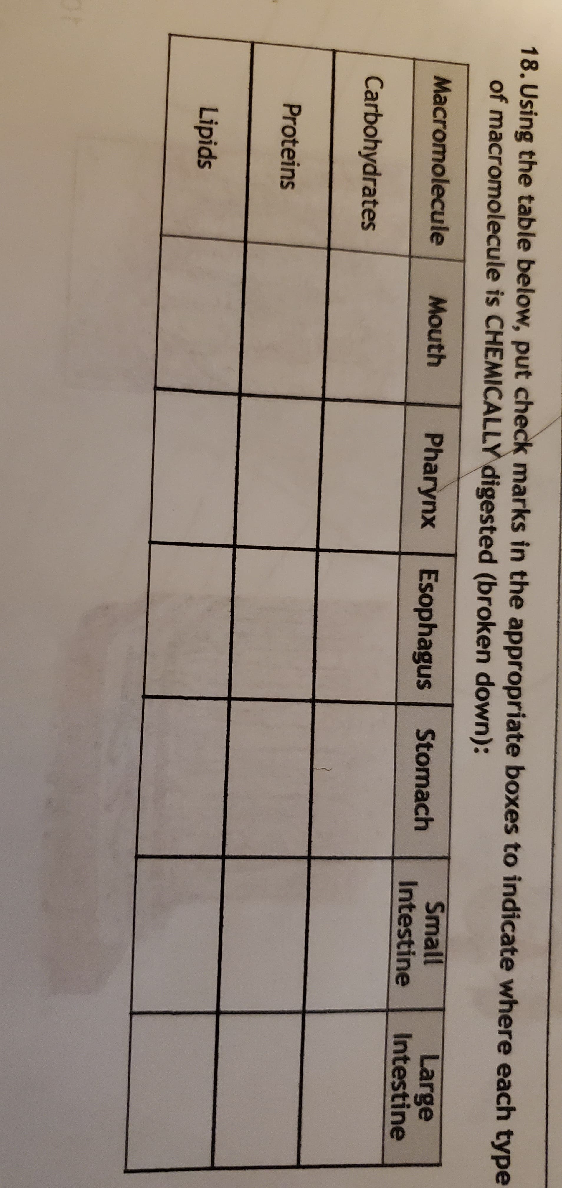 18. Using the table below, put check marks in the appropriate boxes to indicate where each type
of macromolecule is CHEMICALLY digested (broken down):
Small
Intestine
Large
Intestine
Macromolecule
Mouth
Pharynx
Esophagus
Stomach
Carbohydrates
Proteins
Lipids
