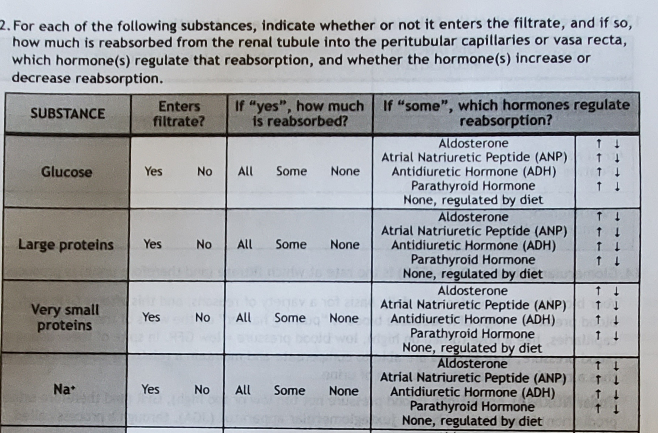 2. For each of the following substances, indicate whether or not it enters the filtrate, and if so,
how much is reabsorbed from the renal tubule into the peritubular capillaries or vasa recta,
which hormone(s) regulate that reabsorption, and whether the hormone(s) increase or
decrease reabsorption.
Enters
filtrate?
If "yes", how much
is reabsorbed?
If "some", which hormones regulate
reabsorption?
SUBSTANCE
Aldosterone
Atrial Natriuretic Peptide (ANP)
Antidiuretic Hormone (ADH)
Parathyroid Hormone
None, regulated by diet
Aldosterone
Atrial Natriuretic Peptide (ANP)
Antidiuretic Hormone (ADH)
Parathyroid Hormone
None, regulated by diet
Aldosterone
Atrial Natriuretic Peptide (ANP)
Antidiuretic Hormone (ADH)
Parathyroid Hormone
None, regulated by diet
Aldosterone
Atrial Natriuretic Peptide (ANP)
Antidiuretic Hormone (ADH)
Parathyroid Hormone
None, regulated by diet
Glucose
Yes
No
All
Some
None
Large proteins
Yes
No
All
Some
None
Very small
proteins
Yes
No
All
Some
None
Na
Yes
No
All
Some
None
