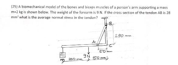 (25) A biomechanical model of the bones and biceps muscles of a person's arm supporting a mass
m=2 kg is shown below. The weight of the forearm is 9 N. If the cross section of the tendon AB is 28
mm' what is the average normal stress in the tendon? 4f
290 mm
r OS
150 mm
200 mm
