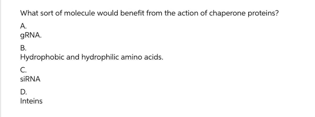 What sort of molecule would benefit from the action of chaperone proteins?
А.
GRNA.
В.
Hydrophobic and hydrophilic amino acids.
С.
SİRNA
D.
Inteins
