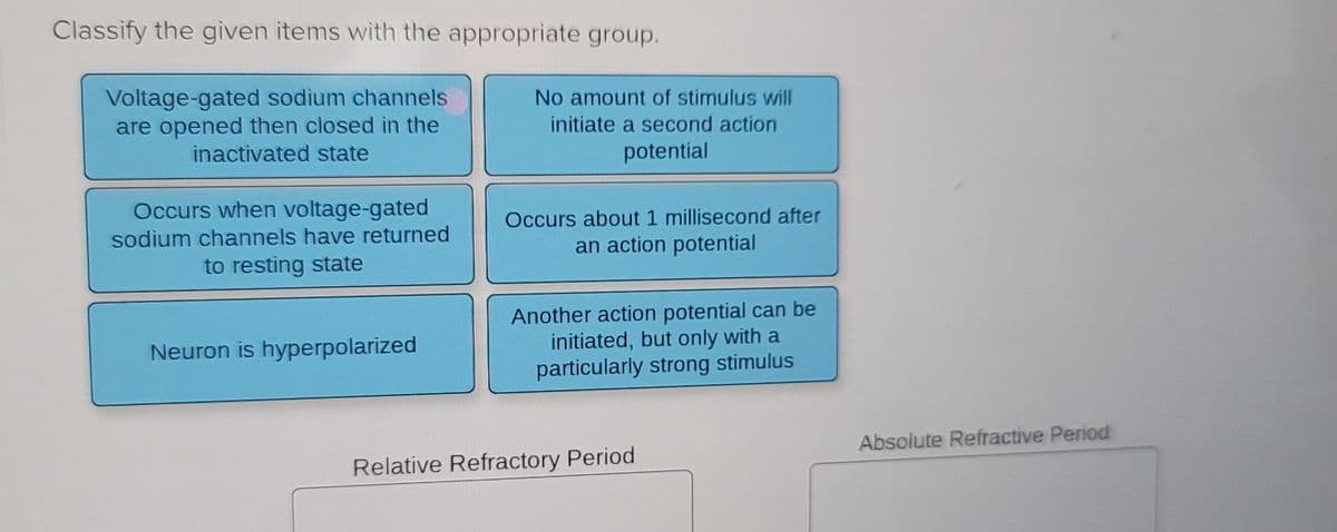 Classify the given items with the appropriate group.
Voltage-gated sodium channels
are opened then closed in the
No amount of stimulus will
initiate a second action
inactivated state
potential
Occurs when voltage-gated
Occurs about 1 millisecond after
sodium channels have returned
an action potential
to resting state
Another action potential can be
initiated, but only with a
particularly strong stimulus
Neuron is hyperpolarized
Absolute Refractive Period
Relative Refractory Period
