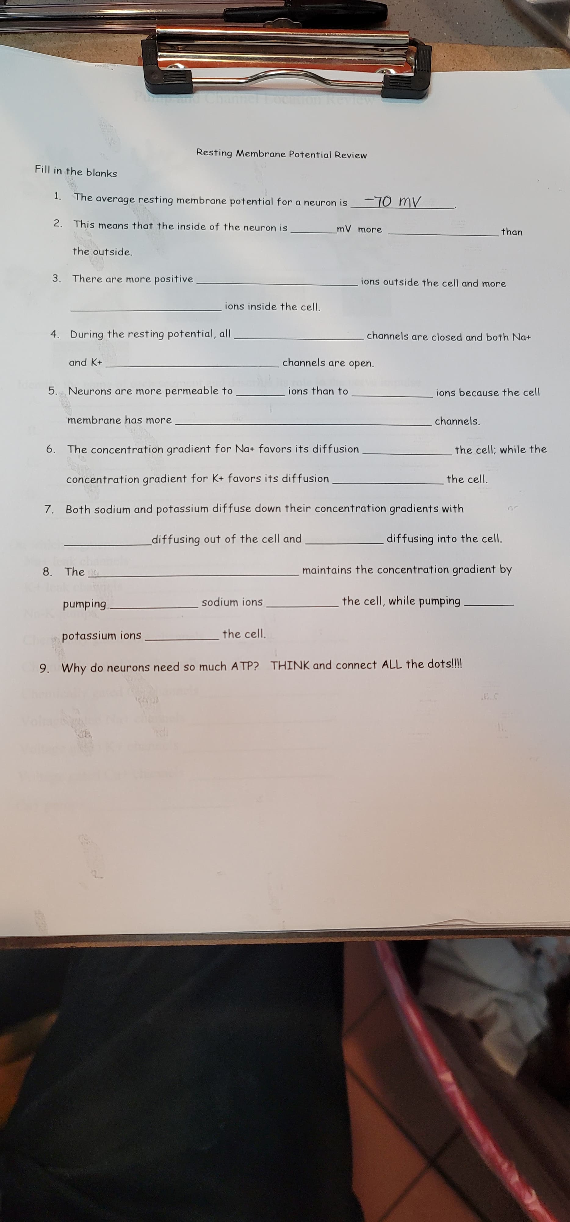 Resting Membrane Potential Review
Fill in the blanks
1. The average resting membrane potential for a neuron is
2. This means that the inside of the neuron is
mV more
than
the outside.
3. There are more positive
ions outside the cell and more
ions inside the cell.
4. During the resting potential, all
channels are closed and both Na+
and K+
channels are open.
5. Neurons are more permeable to
ions than to
ions because the cell
membrane has more
channels.
6. The concentration gradient for Na+ favors its diffusion
the cell; while the
concentration gradient for K+ favors its diffusion
the cell.
7. Both sodium and potassium diffuse down their concentration gradients with
diffusing out of the cell and
diffusing into the cell.
8. The
maintains the concentration gradient by
sodium ions
the cell, while pumping
potassium ions
the cell.
9. Why do neurons need so much ATP? THINK and connect ALL the dots!!!!
