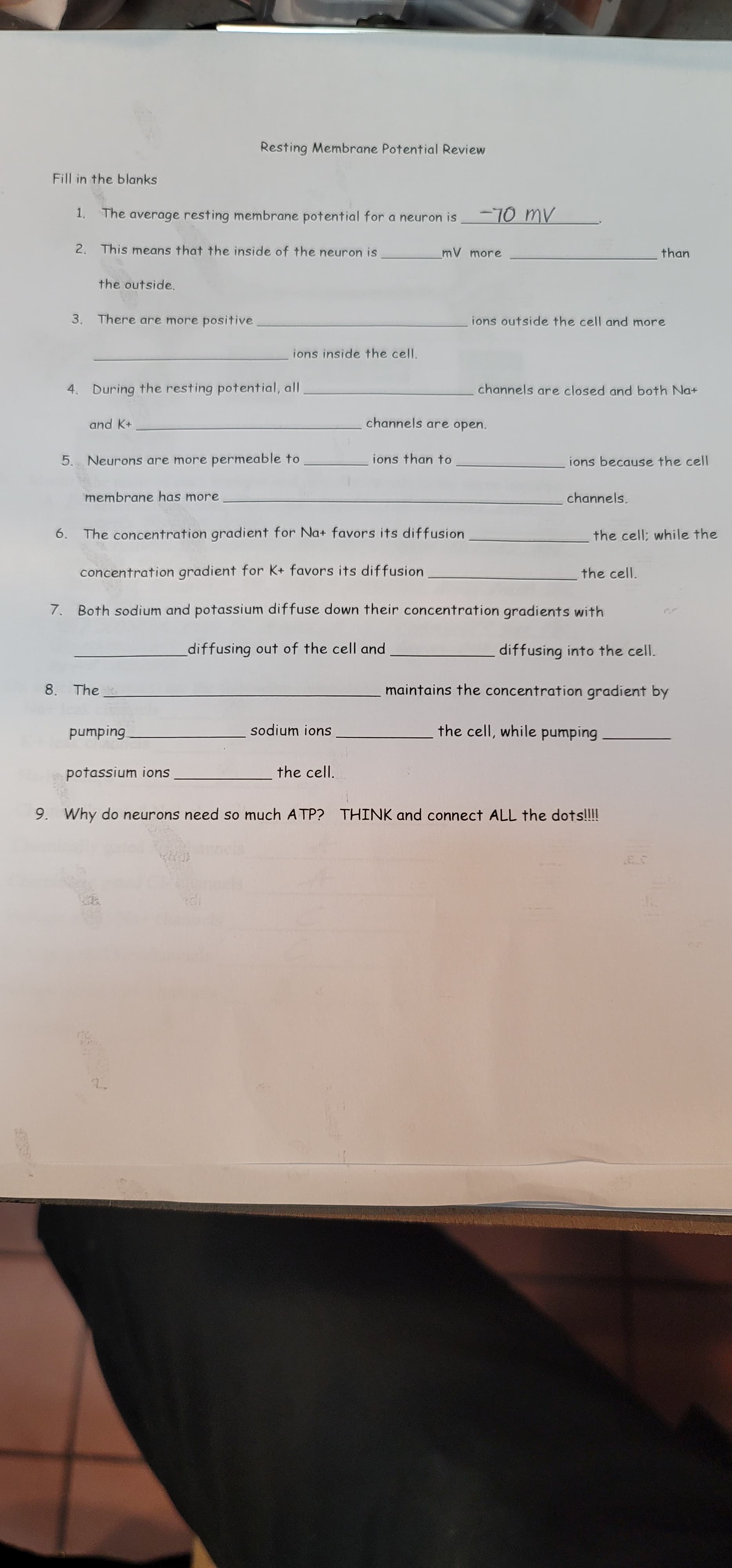 Resting Membrane Potential Review
Fill in the blanks
1. The average resting membrane potential for a neuron is
2. This means that the inside of the neuron is
mV more
than
the outside.
3. There are more positive
ions outside the cell and more
ions inside the cell.
4. During the resting potential, all
channels are closed and both Na+
and K+
channels are open.
5. Neurons are more permeable to
ions than to
ions because the cell
membrane has more
channels.
6. The concentration gradient for Na+ favors its diffusion
the cell; while the
concentration gradient for K+ favors its diffusion
the cell.
7. Both sodium and potassium diffuse down their concentration gradients with
diffusing out of the cell and
diffusing into the cell.
8. The
maintains the concentration gradient by
sodium ions
the cell, while pumping
buidund
potassium ions
the cell.
9. Why do neurons need so much ATP? THINK and connect ALL the dots!!!!
