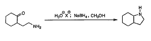 NH₂
H3O X NaBH4, CH3OH