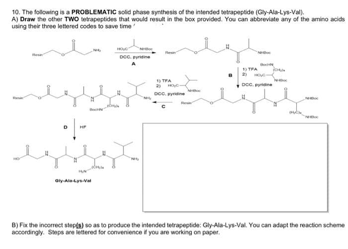 10. The following is a PROBLEMATIC solid phase synthesis of the intended tetrapeptide (Gly-Ala-Lys-Val).
A) Draw the other TWO tetrapeptides that would result in the box provided. You can abbreviate any of the amino acids
using their three lettered codes to save time
Resin
HO
Resin
D
HF
H₂N
NH₂
BocHN
we
(CH₂N
Gly-Ala-Lys-Val
HO₂C
NHBO
DCC. pyridine
A
(CH₂)
"NH₂
Resin
1) TFA
2) HO₂C-
DCC. pyridine
с
NHBoc
Resi
B
1) TFA
2)
NHBoc
BOCHN
HO₂C
DCC, pyridine
(CH₂)
NHBoc
(H₂CM)
NHDO
NHOO
B) Fix the incorrect step(s) so as to produce the intended tetrapeptide: Gly-Ala-Lys-Val. You can adapt the reaction scheme
accordingly. Steps are lettered for convenience if you are working on paper.