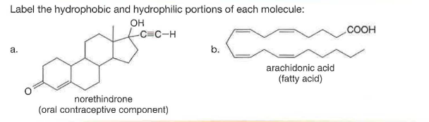 Label the hydrophobic and hydrophilic portions of each molecule:
OH
-C=C-H
.COOH
a.
b.
arachidonic acid
(fatty acid)
norethindrone
(oral contraceptive component)
