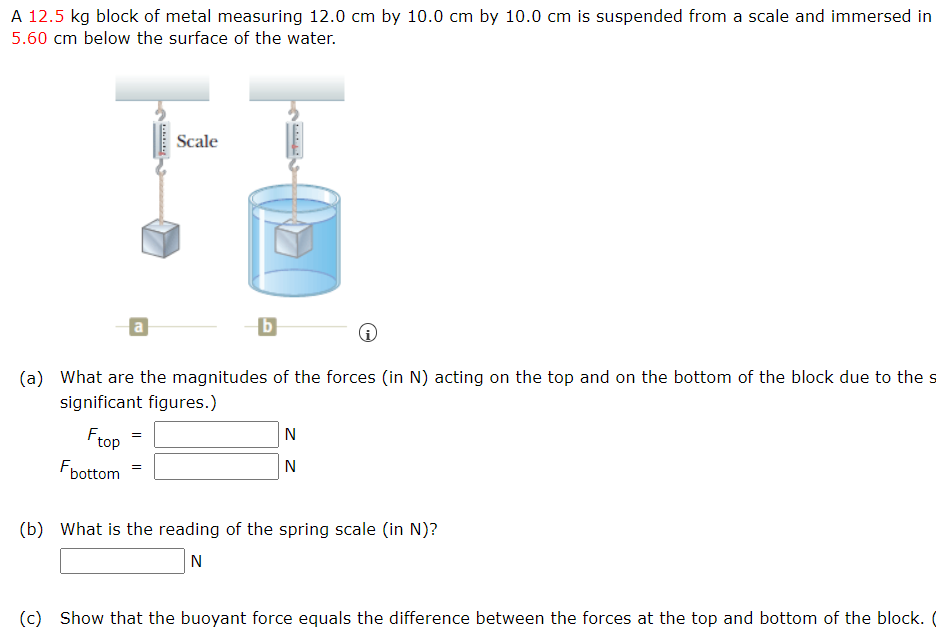 A 12.5 kg block of metal measuring 12.0 cm by 10.0 cm by 10.0 cm is suspended from a scale and immersed in
5.60 cm below the surface of the water.
Scale
a
b
(a) What are the magnitudes of the forces (in N) acting on the top and on the bottom of the block due to the s
significant figures.)
Frop
N
N
Fbottom
(b) What is the reading of the spring scale (in N)?
N
(c) Show that the buoyant force equals the difference between the forces at the top and bottom of the block. (
II
