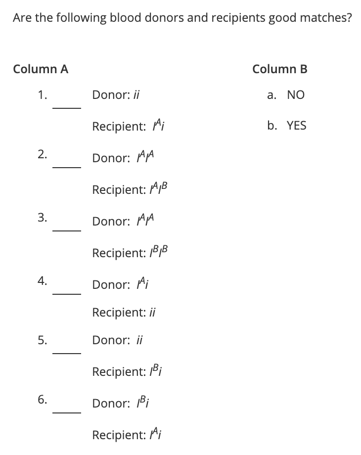 Are the following blood donors and recipients good matches?
Column A
Column B
1.
Donor: ii
a. NO
Recipient: Ai
b. YES
2.
Donor: AA
Recipient: AB
3.
Donor: AA
Recipient: P1B
4.
Donor: Ai
Recipient: ii
Donor: ii
Recipient: /Bi
6.
Donor: Bi
Recipient: Ai
5.
