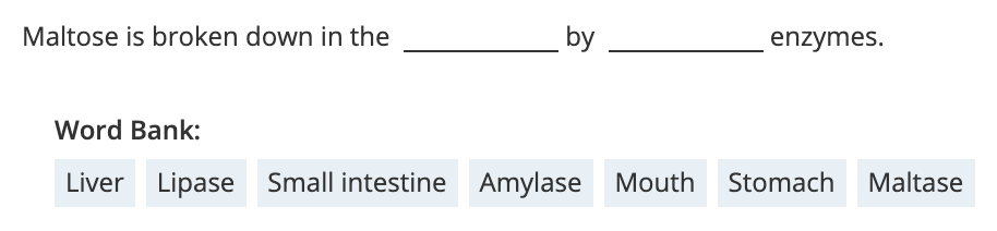 Maltose is broken down in the
by
enzymes.
Word Bank:
Liver Lipase Small intestine Amylase Mouth
Stomach Maltase
