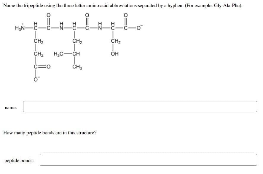 Name the tripeptide using the three letter amino acid abbreviations separated by a hyphen. (For example: Gly-Ala-Phe).
요
맛맛맛
H₂N-C-
요
-ㅐㅂ- -N-
• C -0
CH2
CH2
CH2
CH2 H3C-CH
OH
C=0
CH3
name:
How many peptide bonds are in this structure?
peptide bonds: