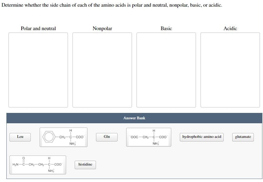 Determine whether the side chain of each of the amino acids is polar and neutral, nonpolar, basic, or acidic.
Polar and neutral
Nonpolar
Basic
Acidic
Leu
O
H
7
H₂N -C CH₂-CH₂-C-COO
I
NH3
H
CH₂-C-COO
NH₂
histidine
Gln
Answer Bank
H
OOC-CH₂-C-Coo
NH₂
hydrophobic amino acid
glutamate