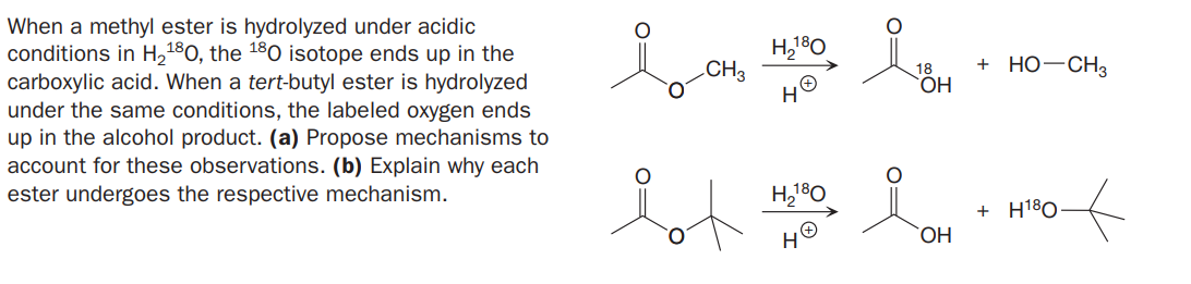 When a methyl ester is hydrolyzed under acidic
conditions in H,180, the 180 isotope ends up in the
carboxylic acid. When a tert-butyl ester is hydrolyzed
under the same conditions, the labeled oxygen ends
up in the alcohol product. (a) Propose mechanisms to
account for these observations. (b) Explain why each
ester undergoes the respective mechanism.
CH3
+ Но-СНЗ
18
+ H180
H
ОН
