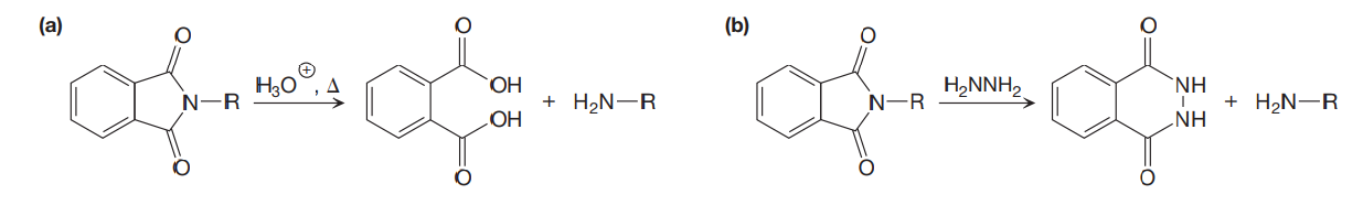 (a)
(b)
HO.
H,NNH,
`NH
N-R
+ H2N-R
N-R
+ H2N-R
OH
HN°
