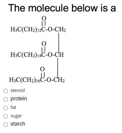 The molecule below is a
H3C(CH2)12C-O-CH2
H3C(CH2)14«C-O-CH
H;C(CH2)16C-O-CH2
O steroid
O protein
O fat
O sugar
O starch
