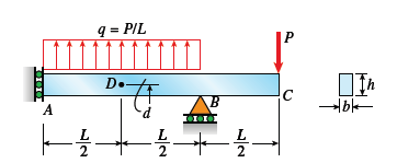 q = PIL
D.
C
A.
p.
