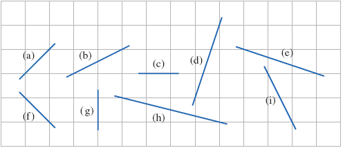 (а)
(b)
(e)
(с)
(d)
(g)
(i)
(h)
