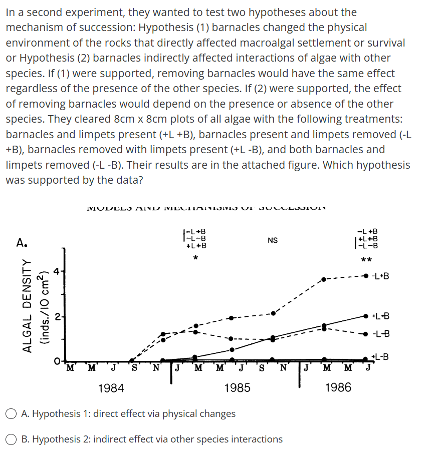 In a second experiment, they wanted to test two hypotheses about the
mechanism of succession: Hypothesis (1) barnacles changed the physical
environment of the rocks that directly affected macroalgal settlement or survival
or Hypothesis (2) barnacles indirectly affected interactions of algae with other
species. If (1) were supported, removing barnacles would have the same effect
regardless of the presence of the other species. If (2) were supported, the effect
of removing barnacles would depend on the presence or absence of the other
species. They cleared 8cm x 8cm plots of all algae with the following treatments:
barnacles and limpets present (+L +B), barnacles present and limpets removed (-L
+B), barnacles removed with limpets present (+L-B), and both barnacles and
limpets removed (-L -B). Their results are in the attached figure. Which hypothesis
was supported by the data?
A.
ALGAL DENSITY
(inds./10 cm²)
M
MODELS AND MECHANISMS VI
'M
S 'N' J
-L+B
1-L-B
+L+B
'M
М' J
1985
NS
S N
1984
O A. Hypothesis 1: direct effect via physical changes
O B. Hypothesis 2: indirect effect via other species interactions
J
'M
M
1986
-L+B
+L+B
|-L-B
**
-L+B
+L+B
-L-B
+L-B