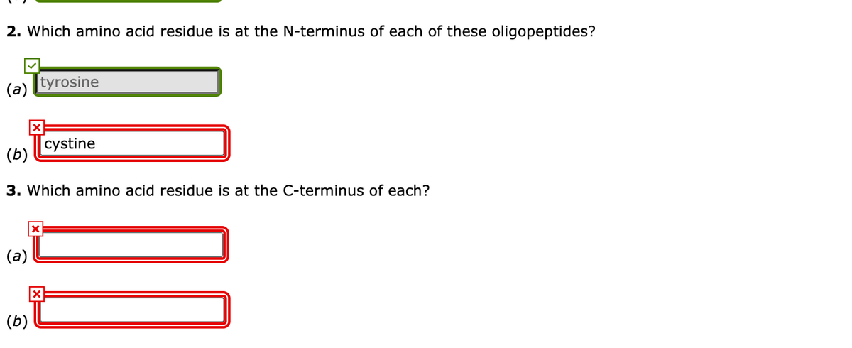 2. Which amino acid residue is at the N-terminus of each of these oligopeptides?
tyrosine
(a)
cystine
(b)
3. Which amino acid residue is at the C-terminus of each?
(b)
