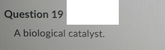 Question 19
A biological catalyst.
