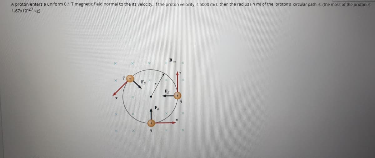 A proton enters a uniform 0.1 T magnetic field normal to the its velocity. If the proton velocity is 5000 m/s, then the radius (in m) of the proton's circular path is: (the mass of the proton is
1.67x10 27 kg).
