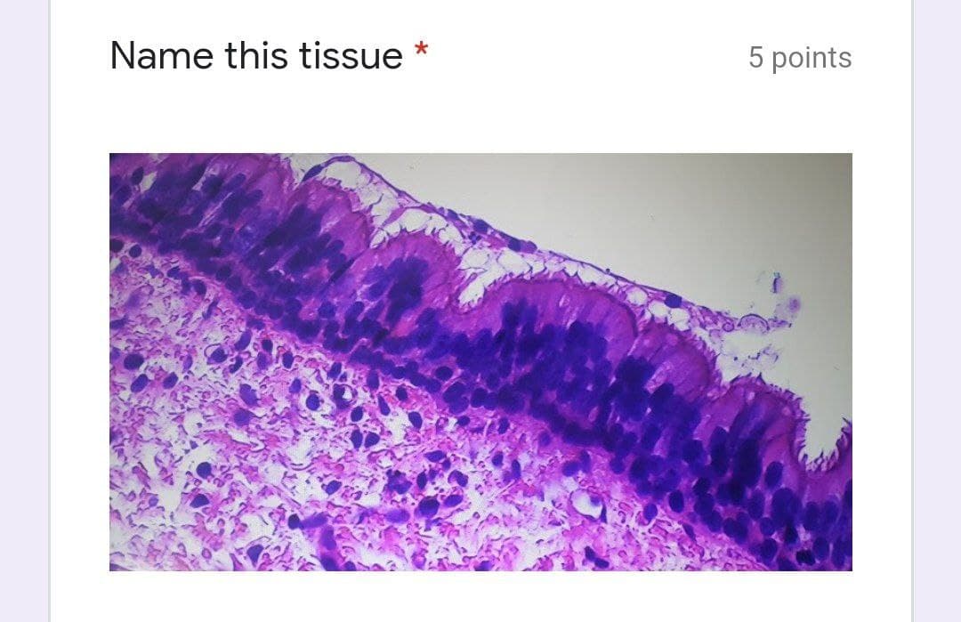 Name this tissue *
5 points
